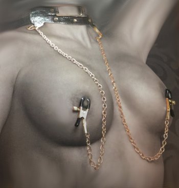 Submissive Collar with Gold Nipple tention clamps Dominant